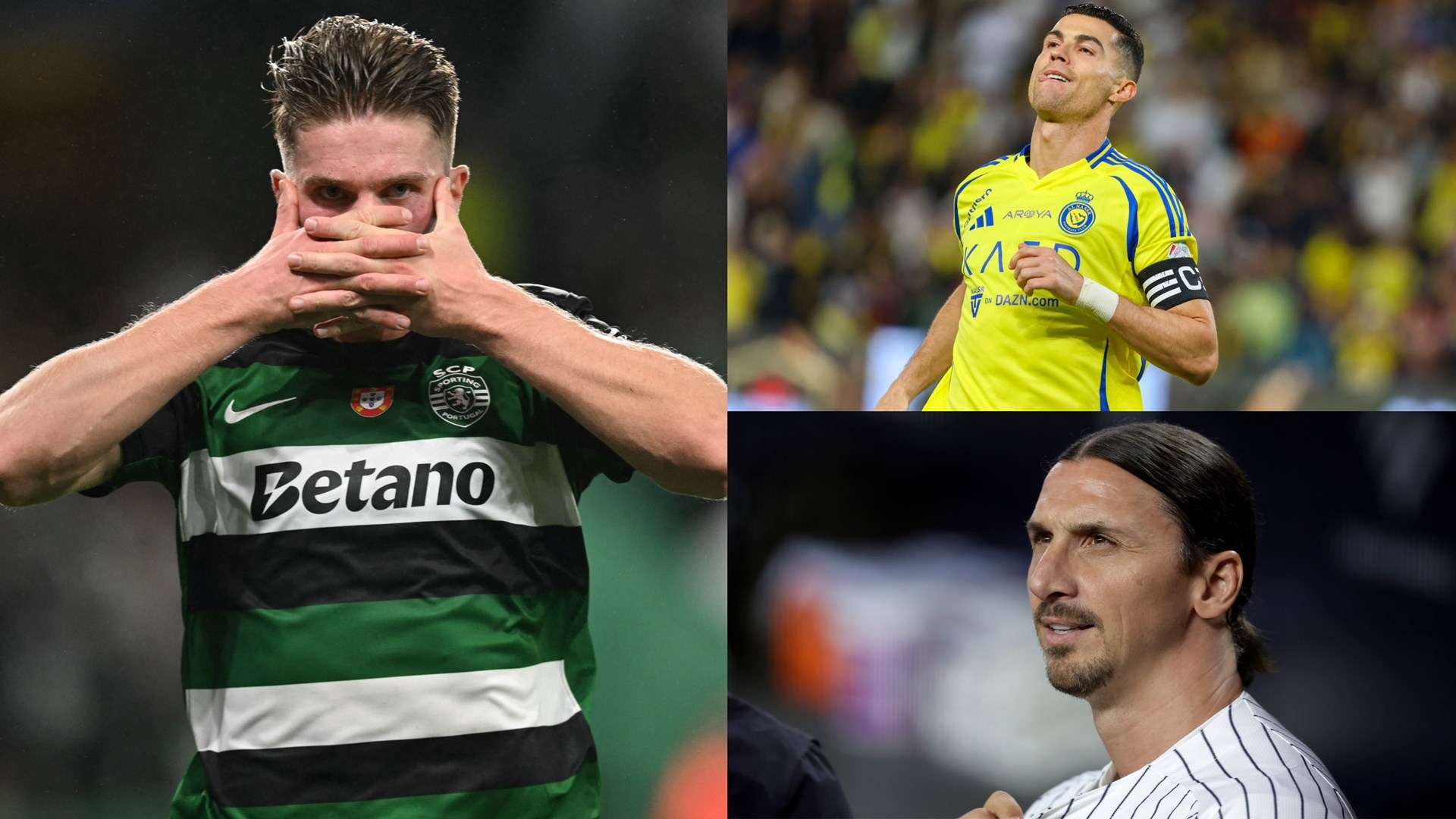 大的体育圈 大的体育圈