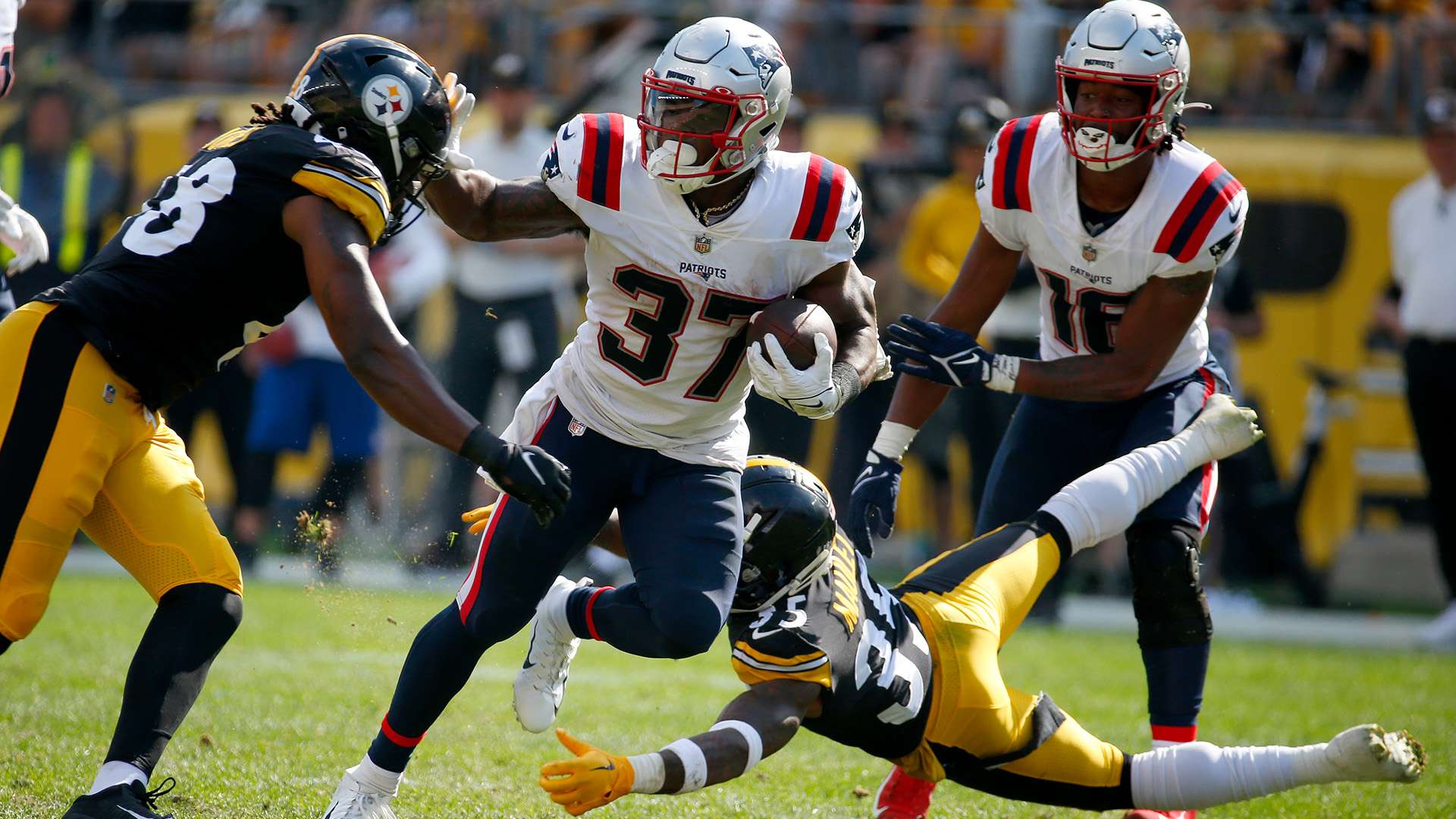 开幕式的精 开幕式的精