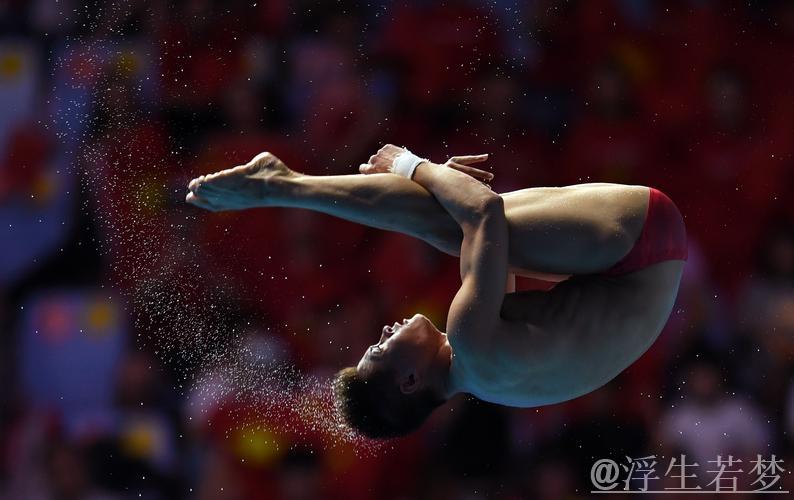 跳水世界杯决赛:男子10米跳台预赛 跳水世界杯决赛:男子10米跳台预赛