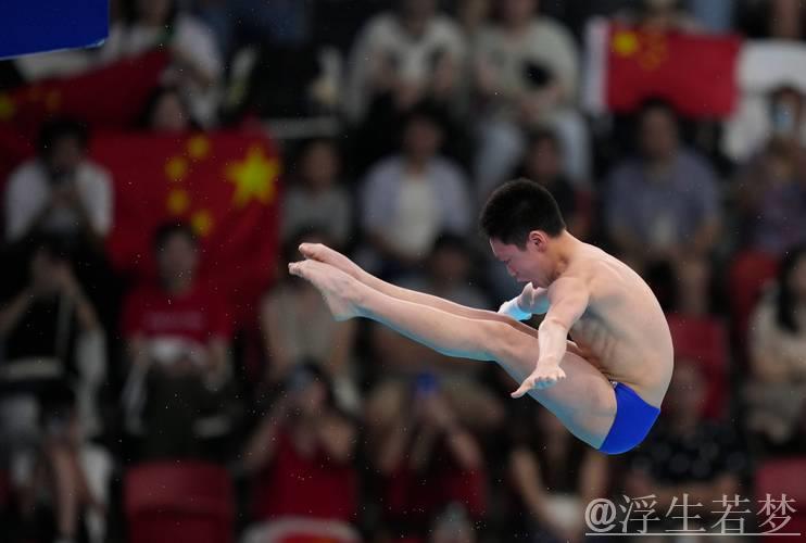 跳水世界杯决赛:男子10米跳台预赛 跳水世界杯决赛:男子10米跳台预赛