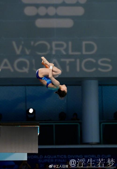 跳水世界杯决赛:男子10米跳台预赛 跳水世界杯决赛:男子10米跳台预赛